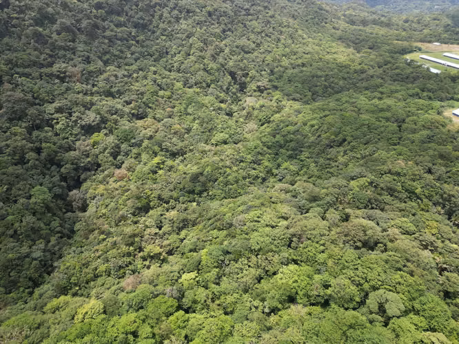 Venta de Finca en La Mesa, El Valle de Antón, 31 Hectáreas