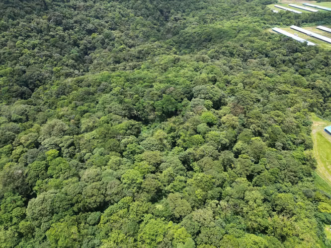 Venta de Finca en La Mesa, El Valle de Antón, 31 Hectáreas