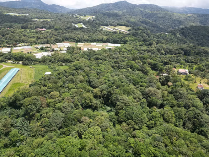 Venta de Finca en La Mesa, El Valle de Antón, 31 Hectáreas