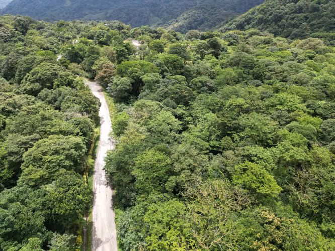 Venta de Finca en La Mesa, El Valle de Antón, 31 Hectáreas