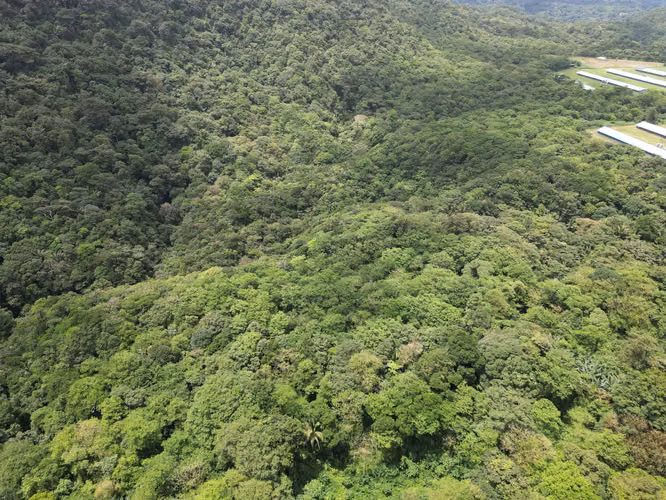 Venta de Finca en La Mesa, El Valle de Antón, 31 Hectáreas