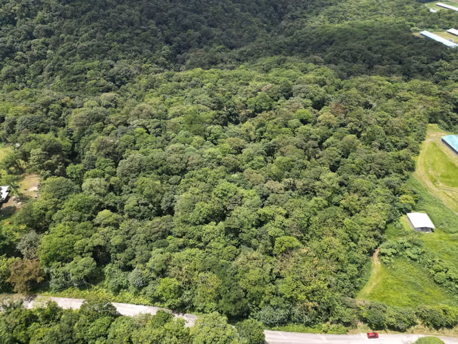 Venta de Finca en La Mesa, El Valle de Antón, 31 Hectáreas