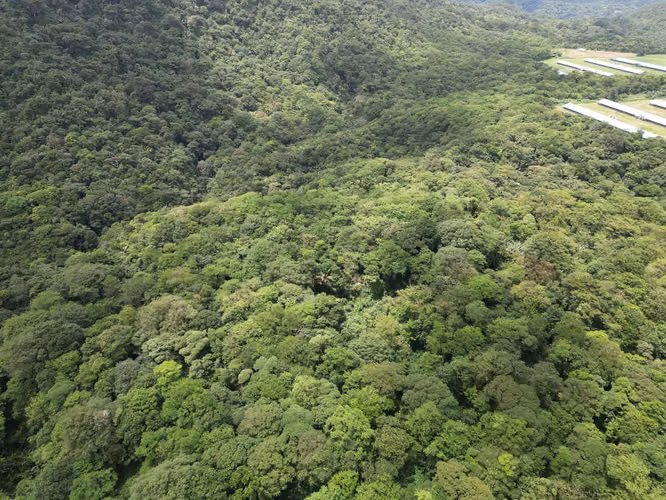 Venta de Finca en La Mesa, El Valle de Antón, 31 Hectáreas