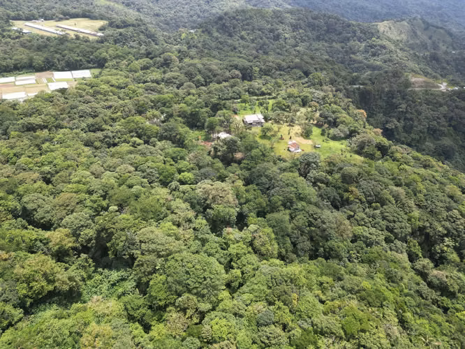 Venta de Finca en La Mesa, El Valle de Antón, 31 Hectáreas