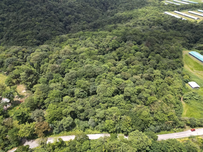Venta de Finca en La Mesa, El Valle de Antón, 31 Hectáreas