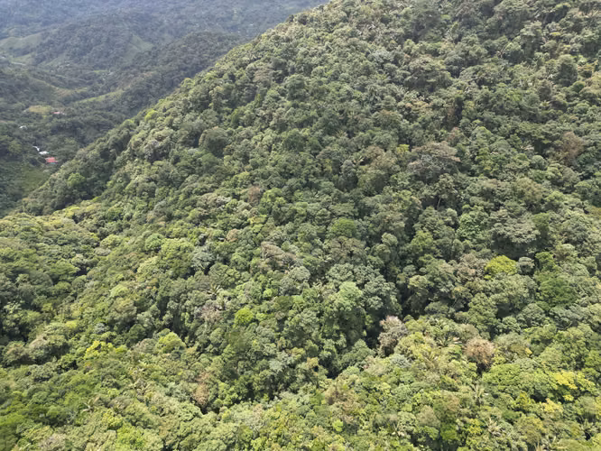 Venta de Finca en La Mesa, El Valle de Antón, 31 Hectáreas