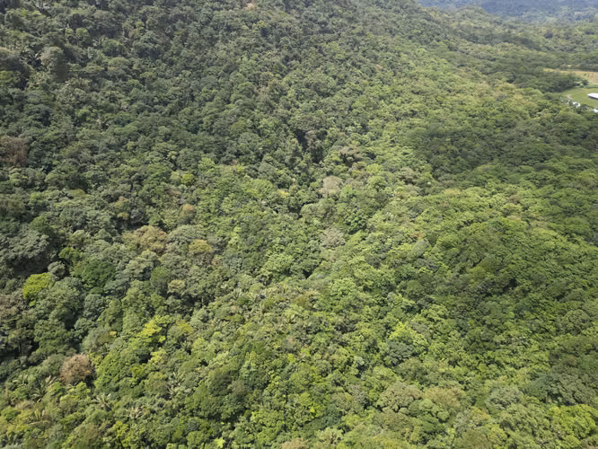 Venta de Finca en La Mesa, El Valle de Antón, 31 Hectáreas