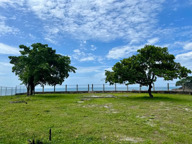 GORGONA TERRENO FRENTE AL MAR