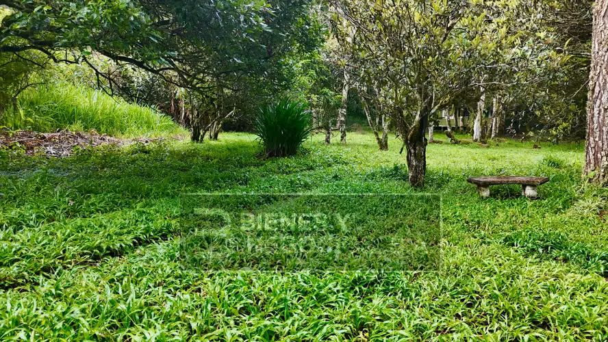 Terreno en Chiriquí, Volcán, 2 hectáreas con Cabañas