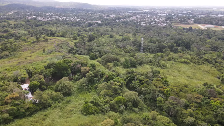 Banco vende Lote para desarrollar proyecto para casas en Pedregal - Imagen 4