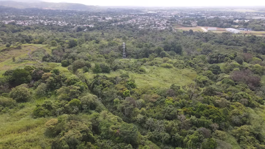 Banco vende Lote para desarrollar proyecto para casas en Pedregal - Imagen 6