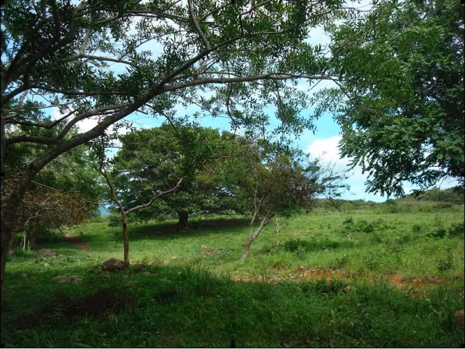 Venta de Finca en Sorá, 42 Hectáreas