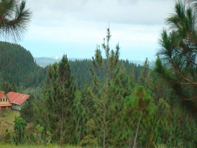 Venta de Finca en Sorá, 42 Hectáreas