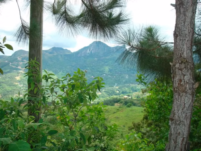 Venta de Finca en San Carlos, El Higo 11 Hectáreas
