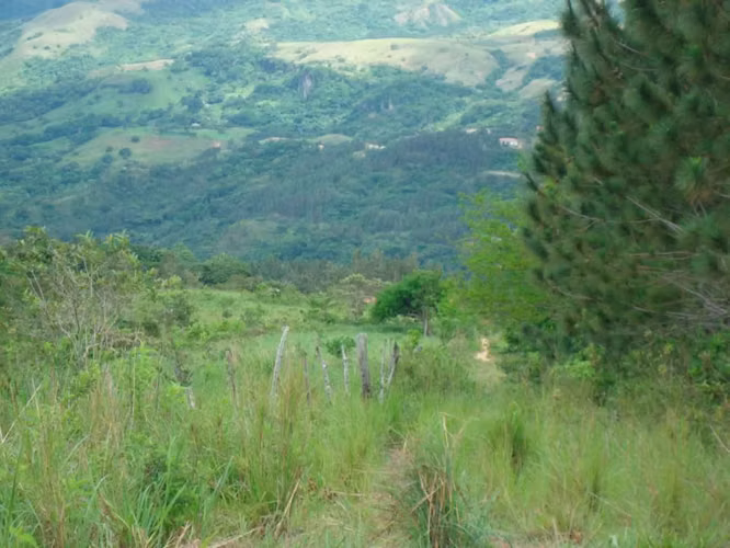 Venta de Finca en San Carlos, El Higo 11 Hectáreas