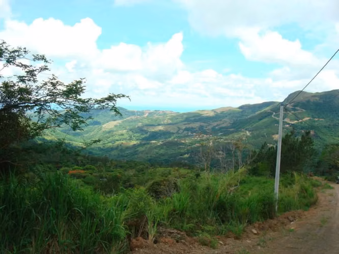 Venta de Finca en San Carlos, El Higo 11 Hectáreas