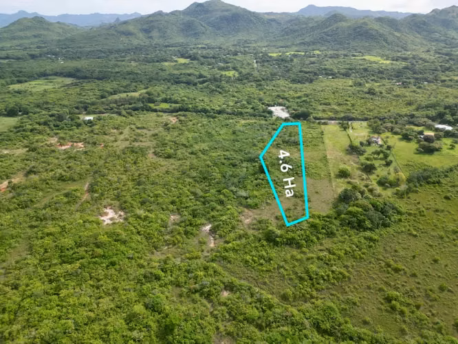 PENONOMÉ VIA A LA PINTADA FINCA EN VENTA - Imagen 4