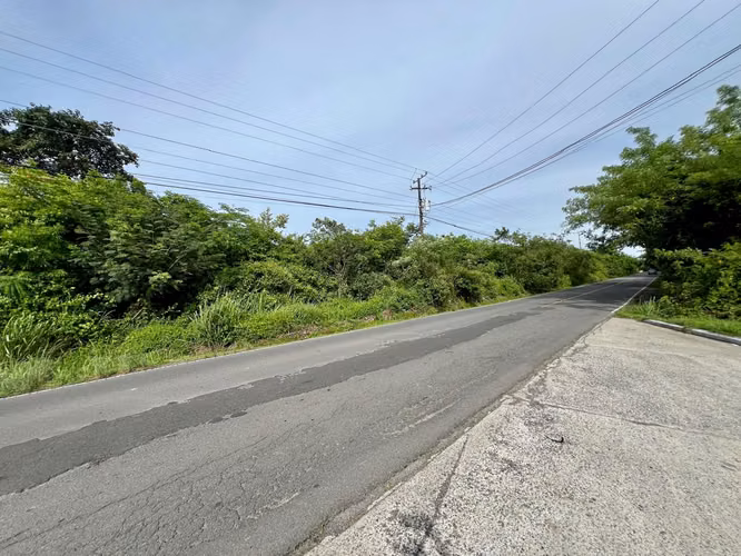 PENONOMÉ VIA A LA PINTADA FINCA EN VENTA - Imagen 5