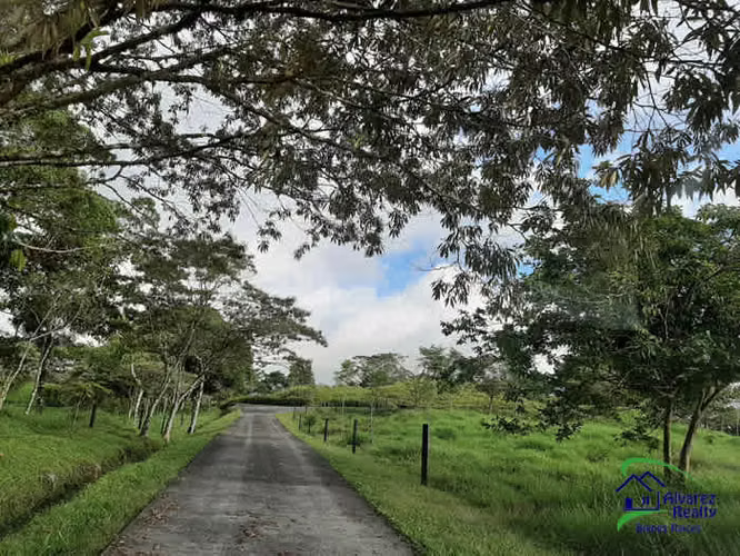 ID# F-0146 Finca con casa en venta