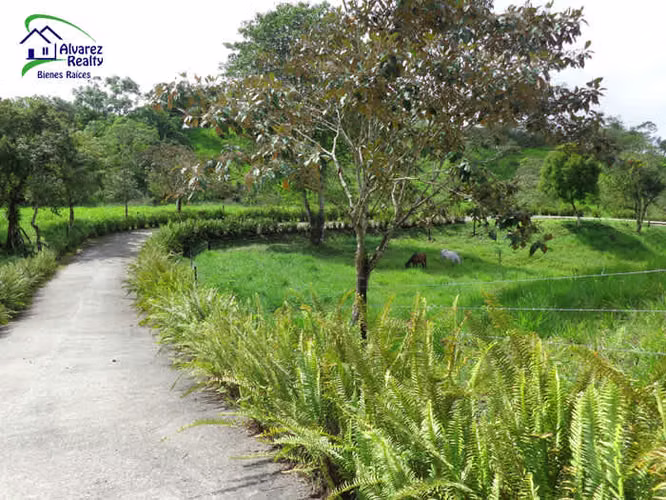 ID# F-0146 Finca con casa en venta