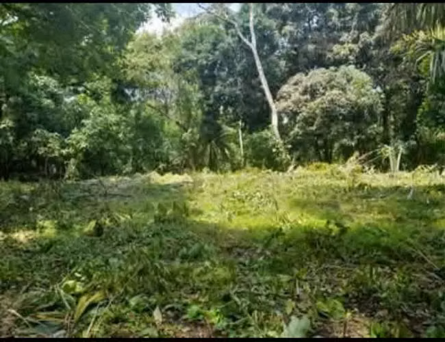 Vendo Terreno en las Cumbres, - Imagen 14