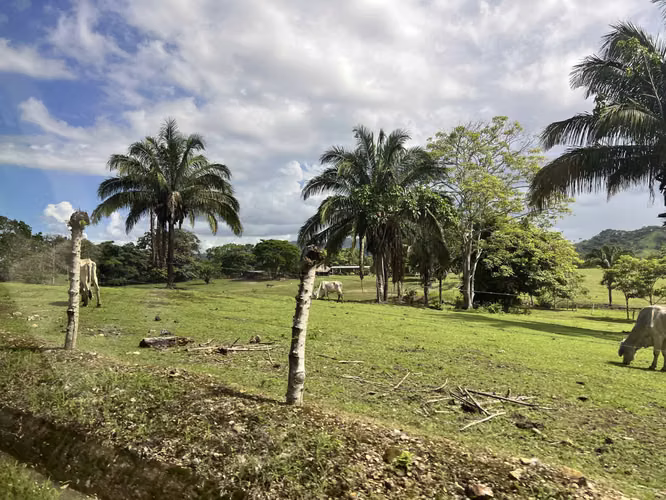 Venta de Finca Agropecuaria en Tortí – Chepo
