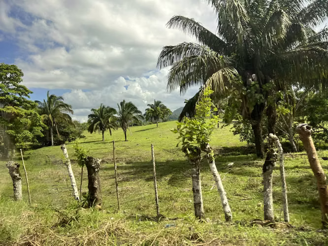Venta de Finca Agropecuaria en Tortí – Chepo