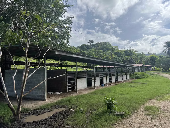 Venta de Finca Agropecuaria en Tortí – Chepo