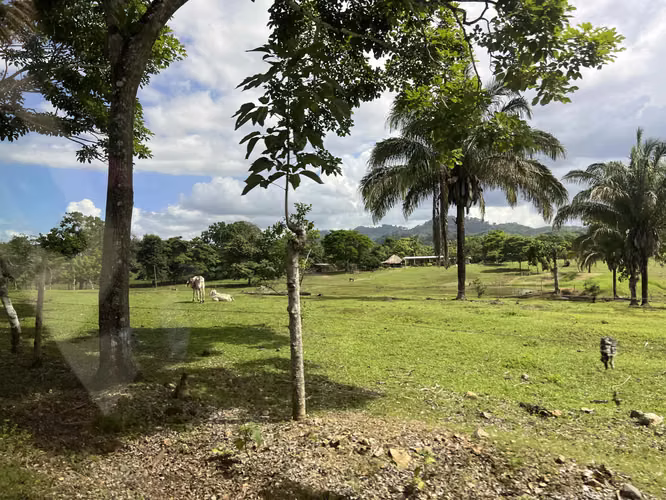 Venta de Finca Agropecuaria en Tortí – Chepo