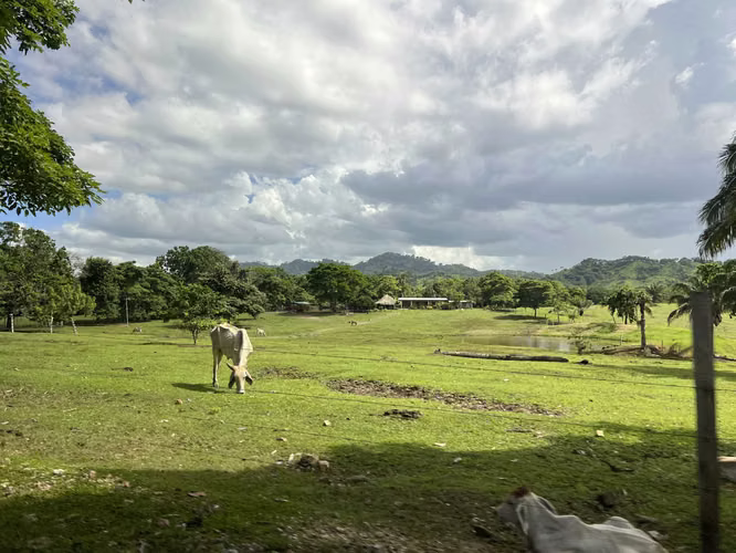 Venta de Finca Agropecuaria en Tortí – Chepo