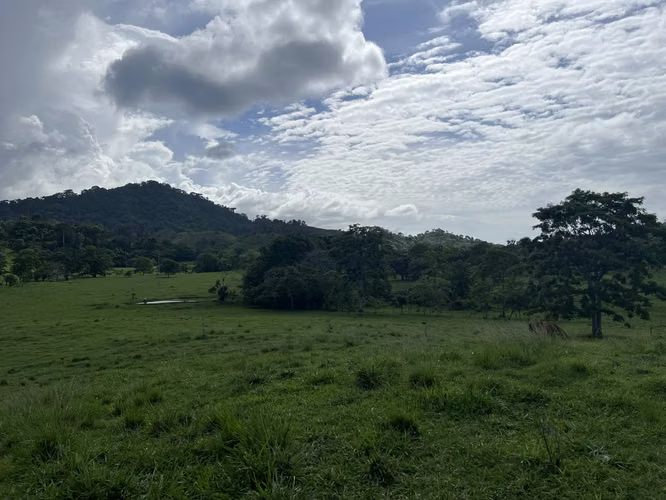 Venta de Finca Agropecuaria en Tortí – Chepo