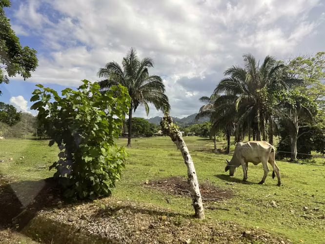 Venta de Finca Agropecuaria en Tortí – Chepo