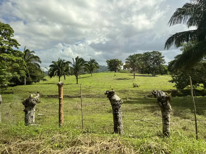 Venta de Finca Agropecuaria en Tortí – Chepo