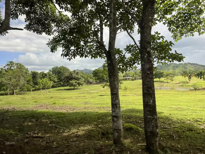 Venta de Finca Agropecuaria en Tortí – Chepo