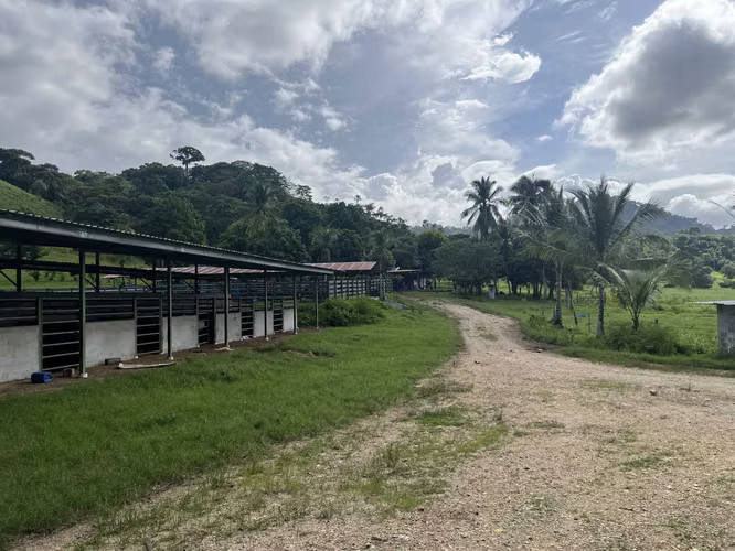 Venta de Finca Agropecuaria en Tortí – Chepo