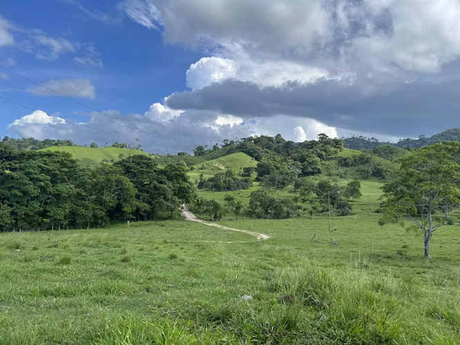Venta de Finca Agropecuaria en Tortí – Chepo
