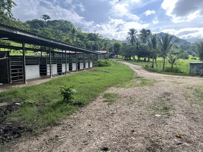 Venta de Finca Agropecuaria en Tortí – Chepo