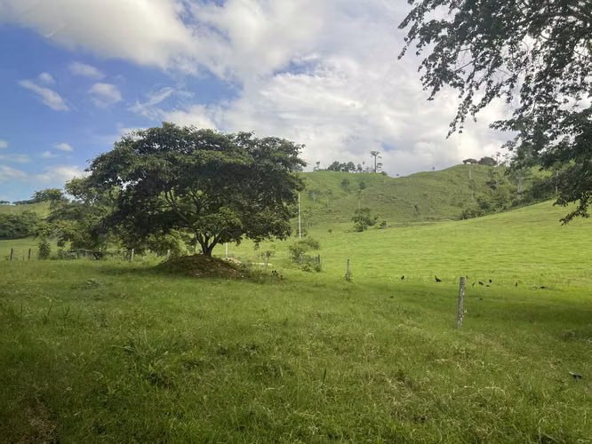 Venta de Finca Agropecuaria en Tortí – Chepo