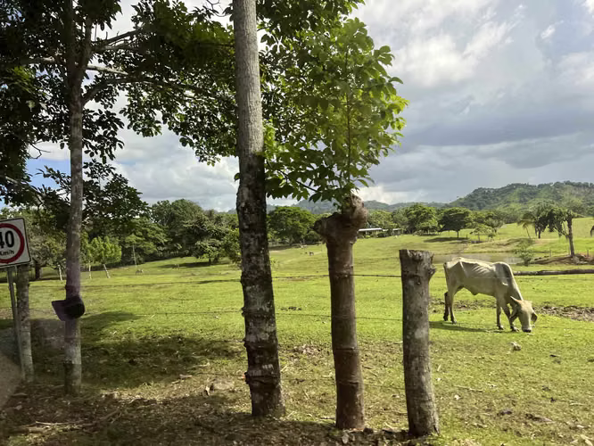 Venta de Finca Agropecuaria en Tortí – Chepo