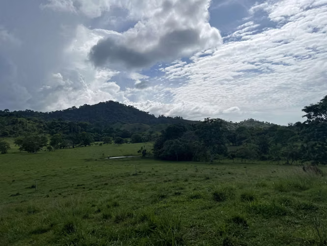 Venta de Finca Agropecuaria en Tortí – Chepo