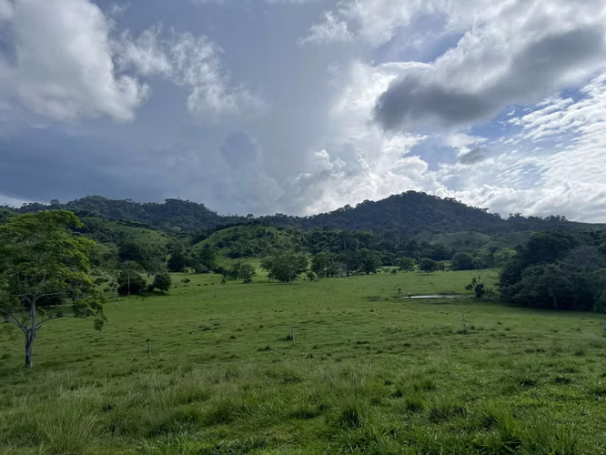 Venta de Finca Agropecuaria en Tortí – Chepo