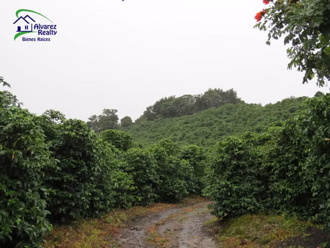 ID# F-0127 Finca en Venta
