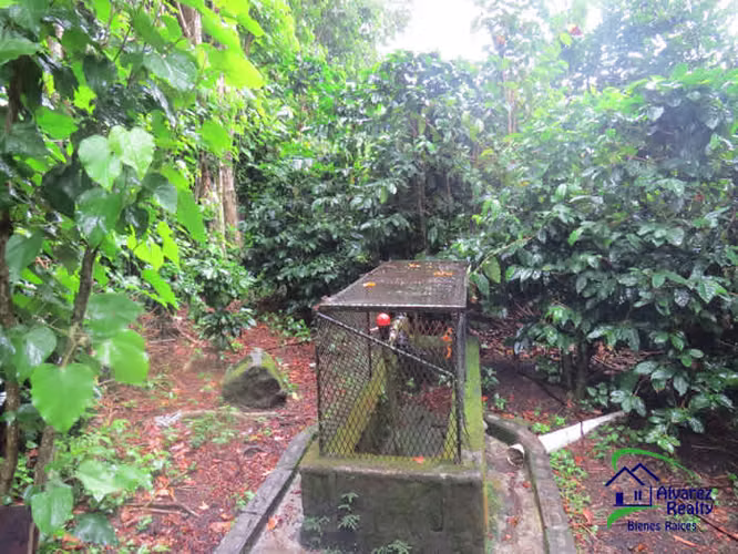 ID# F-0127 Finca en Venta