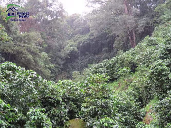 ID# F-0127 Finca en Venta