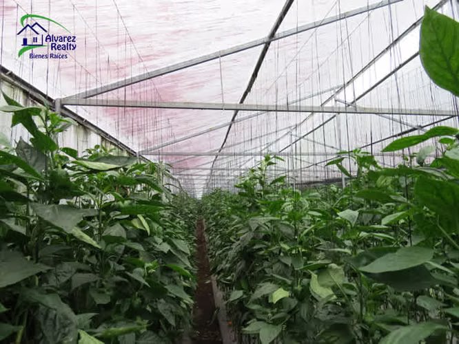 ID# F-0127 Finca en Venta