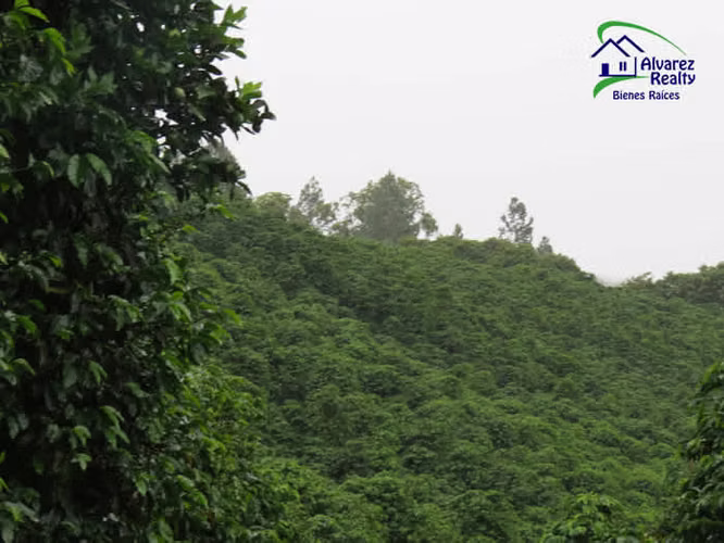 ID# F-0127 Finca en Venta