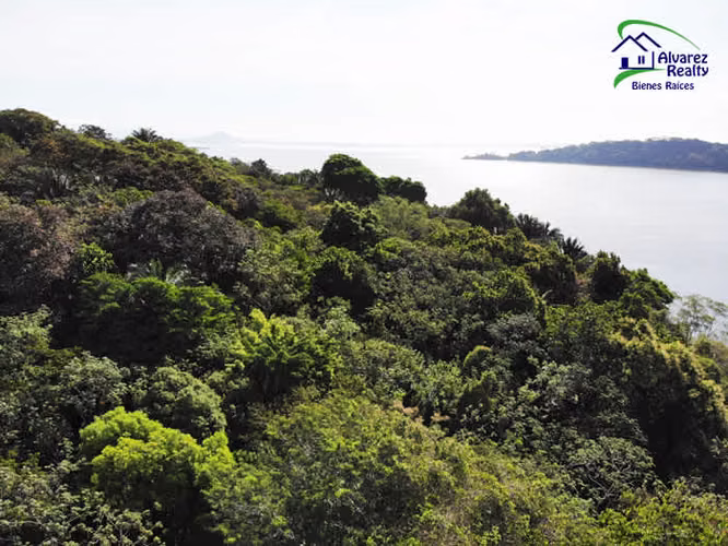 ID # I-0006 Isla Privada en Venta