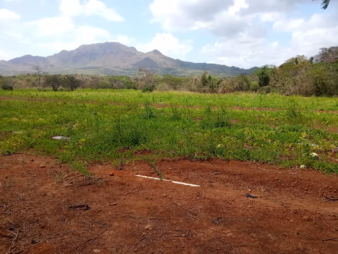 Venta de Finca en Cermeño, Coclé, 100 hectáreas