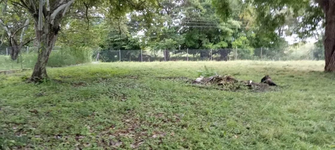 Vendo terreno a 1 minuto Vía Principal San Carlos