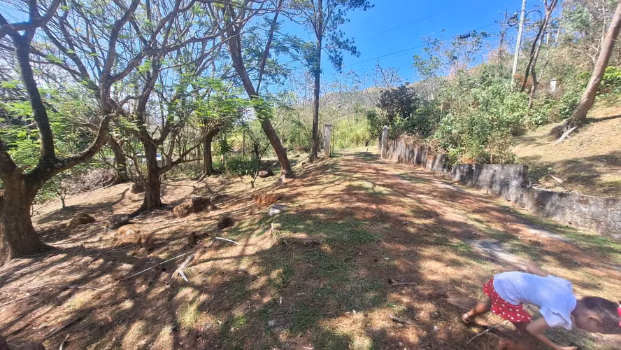 SAN CARLOS , LA LAGUNA VENDO FINCA CON CASA - Imagen 19